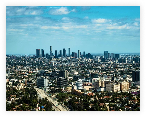 Los Angeles Limousine Service (1)